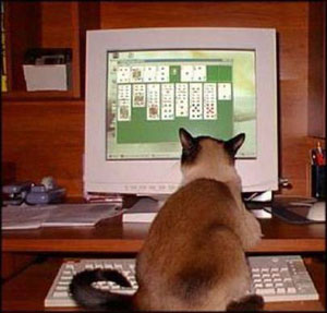 1 chat .....
